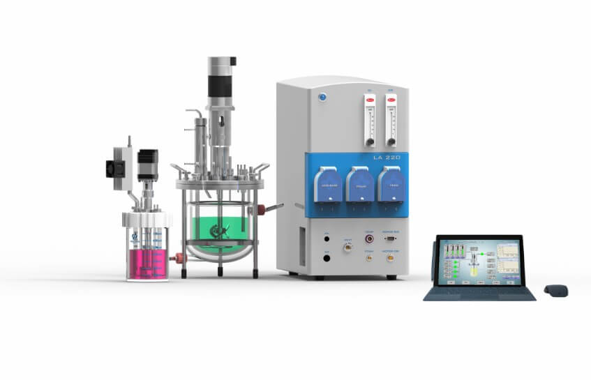 91麻豆免费在线视频
