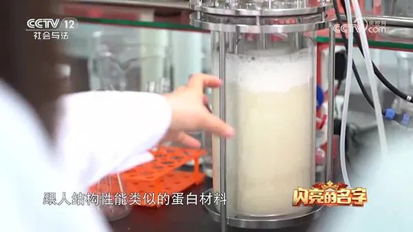 91麻豆免费在线视频 91麻豆免费在线视频