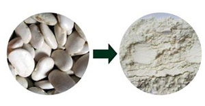 陶瓷膜過濾在芸豆提取物中的運用 陶瓷膜過濾在芸豆提取物中的運用