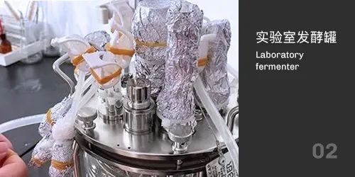 實驗室91麻豆免费在线视频滅菌 實驗室91麻豆免费在线视频滅菌