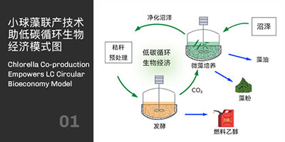 小球藻聯產技術助力碳循環經濟模式圖 小球藻聯產技術助力碳循環經濟模式圖