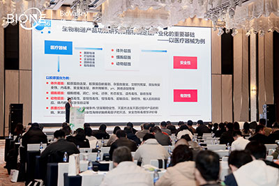 峰會會議現場圖2 峰會會議現場圖2